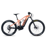 Frey Beast Electric Mountain Bike
