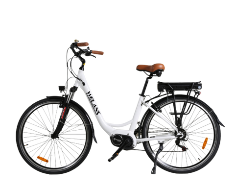 B5 Electric Bike