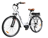 B5 Electric Bike